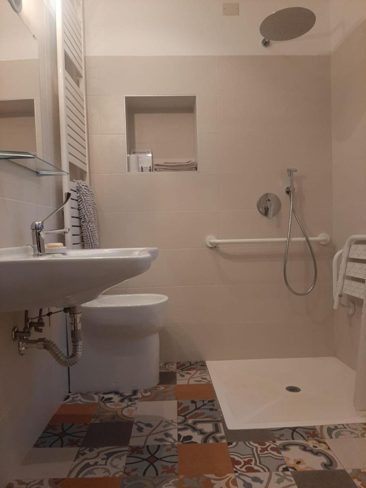 King Room Roll Shower Disability Access
